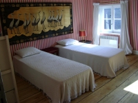 DSC00032 (Large).JPG