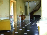 DSC00007 (Large).JPG